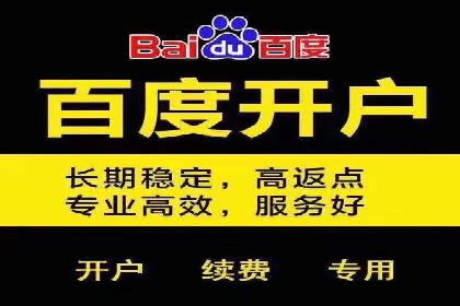 数据分析助力信息流广告：某品牌成功案例揭秘